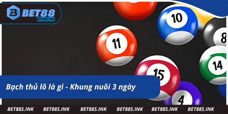 Bạch thủ lô là gì - Bật mí cách nuôi trong 3 ngày