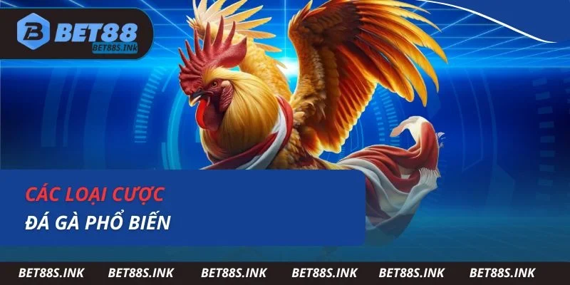 Các loại cược đá gà phổ biến